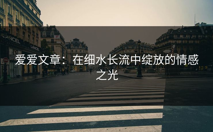 爱爱文章：在细水长流中绽放的情感之光