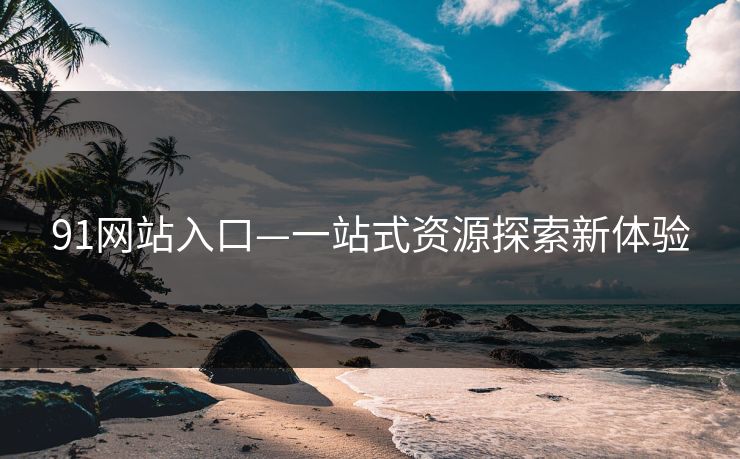 91网站入口—一站式资源探索新体验