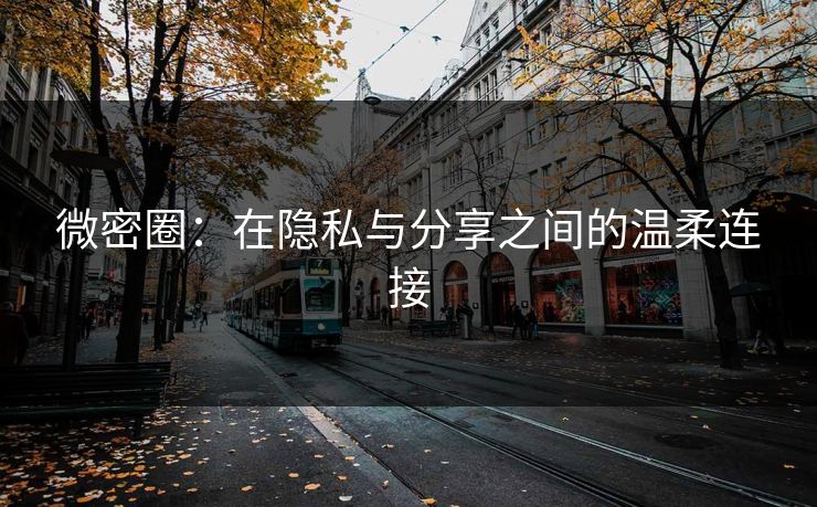 微密圈:在隐私与分享之间的温柔连接