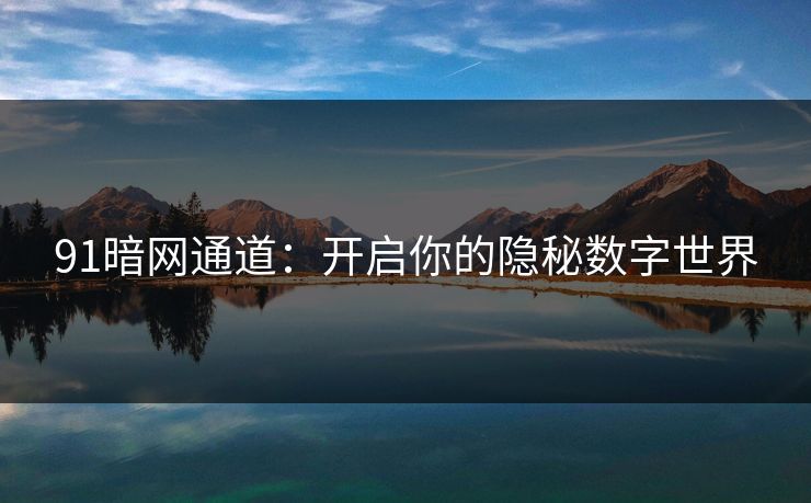 91暗网通道：开启你的隐秘数字世界
