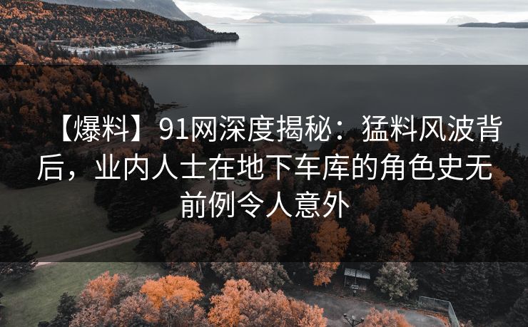 【爆料】91网深度揭秘：猛料风波背后，业内人士在地下车库的角色史无前例令人意外