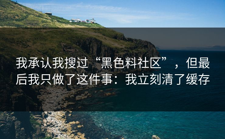 我承认我搜过“黑色料社区”，但最后我只做了这件事：我立刻清了缓存